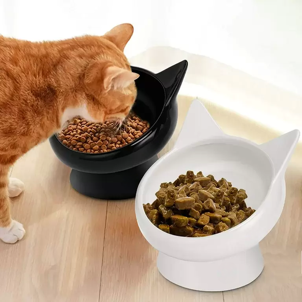 Should Cat Food Bowls Be Elevated?