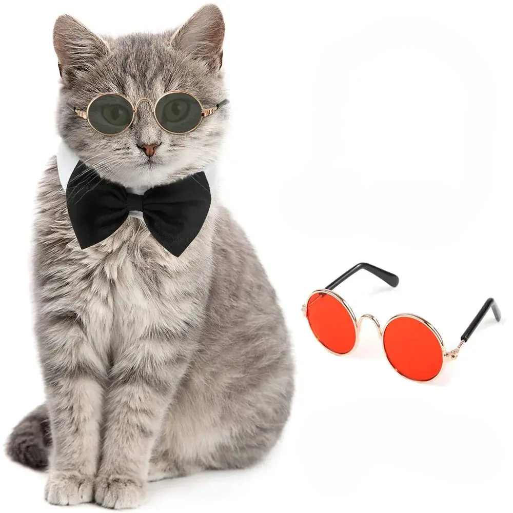 Cat Apparel & Accessories