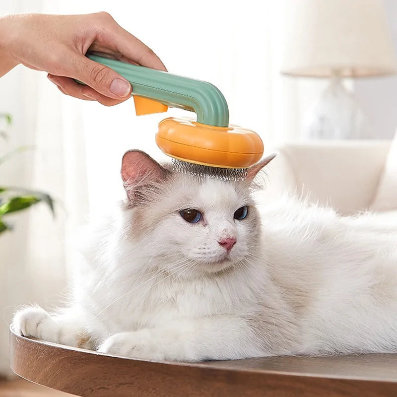 Cat Grooming